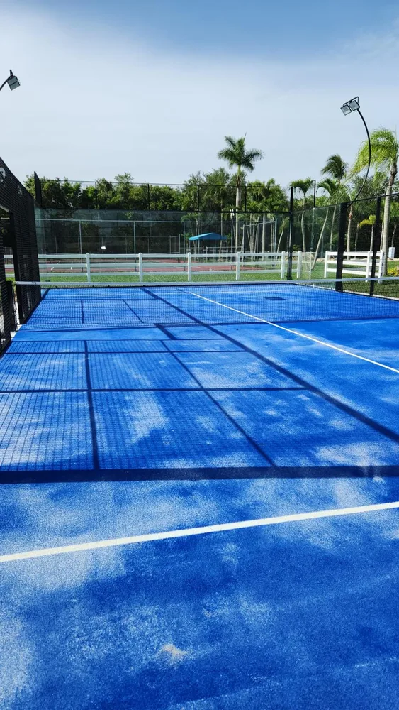 Blue outdoor padel court with glass walls, curved lighting posts and palms.